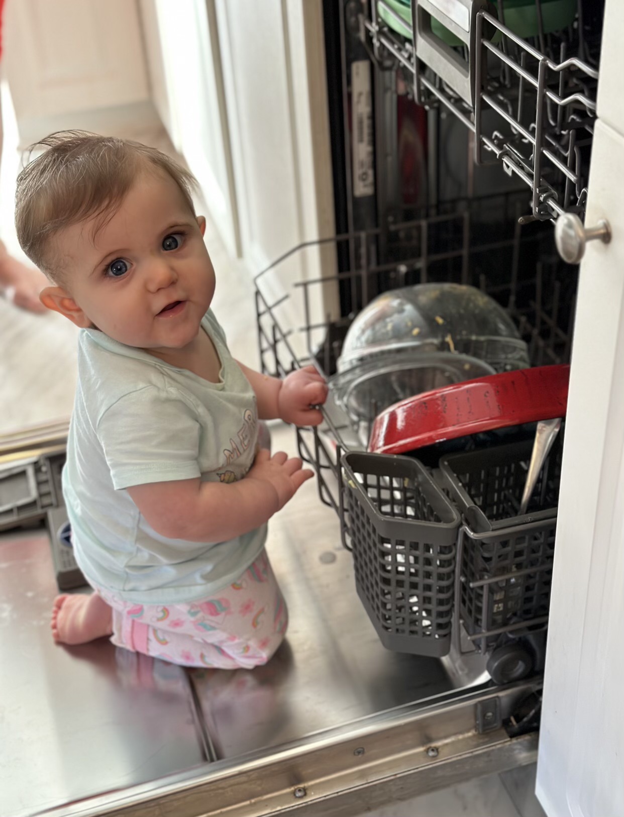 Appliance Repair New Bern Nc